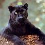 Linda Hamrick Photo 22