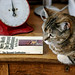 Gloria Wolfe Photo 9