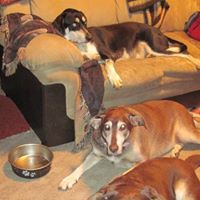 Tina Conrad Photo 26