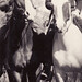 Harry Todd Photo 8