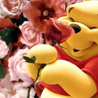 Danielle Triplett Photo 6