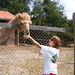 Darlene Fuller Photo 13