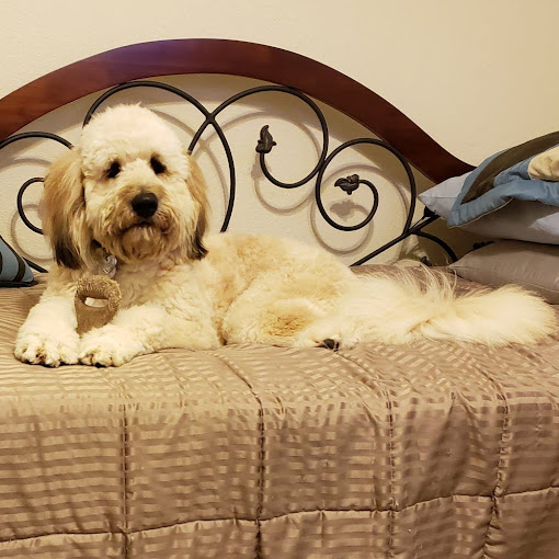 Cindy Pierson Photo 32