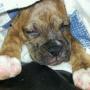 Morris Little Photo 15