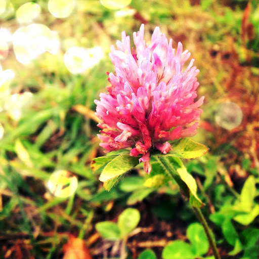 Sarah Downs Photo 35