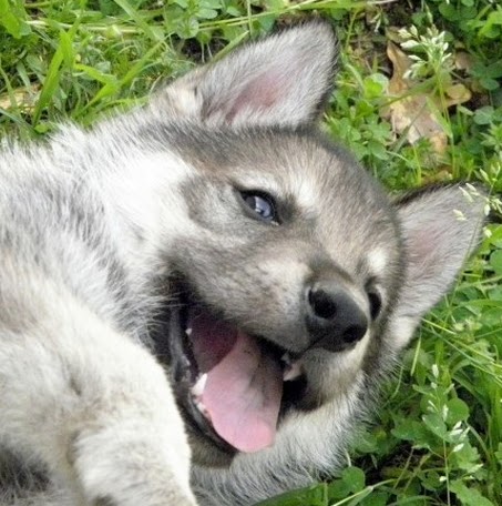 Gail Webber Photo 18