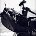 Angela Petersen Photo 34