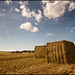 Kenneth Corns Photo 13