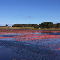 Kimberly Condon Photo 23