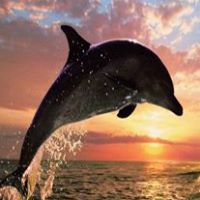 Angela Marcum Photo 22