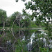Margaret Ponds Photo 7