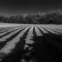 Lucy Rollins Photo 23