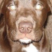 Paula Ralston Photo 3