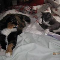 Joyce Schwarz Photo 12