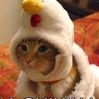 Johnny Morrow Photo 14