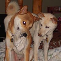 Roger Platt Photo 21