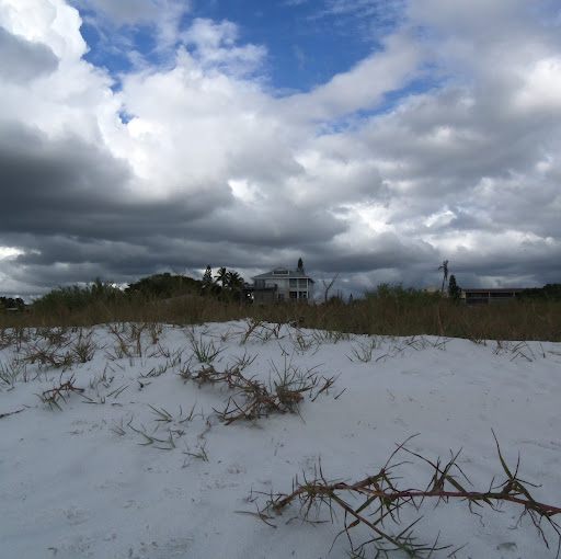 Michael Dennis Photo 48