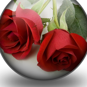 Lisa Menard Photo 12