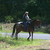 Robin Littleton Photo 7