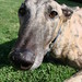 Cheri Nelson Photo 14