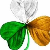 Fran Fitzpatrick Photo 3