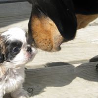 Irene Jennings Photo 23