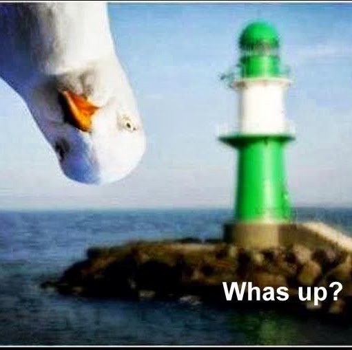 Robert Parkman Photo 6