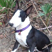 Annette Forbes Photo 12