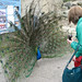 Susan Peacock Photo 15