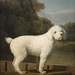 George Stubbs Photo 13