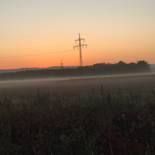 Jacqueline Lange Photo 16