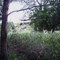 Suzanne Bowling Photo 16