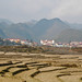 Sin Ho Photo 16