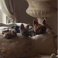 Charles Wilt Photo 11