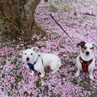 Marcia Gilbert Photo 11