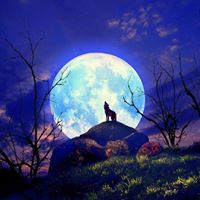 Nancy Macmillan Photo 4