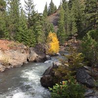 Pamela Peake Photo 19