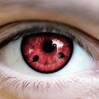 Eric Cline Photo 28 Eric Cline Photo 28