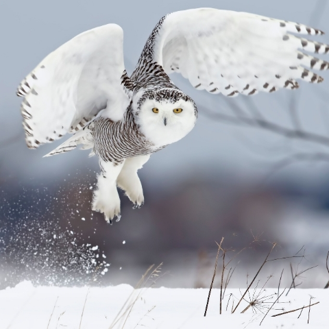 Christopher Partlow Photo 17