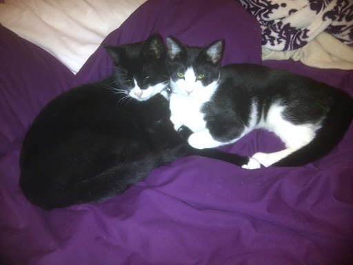 Denise Campbell Photo 13 Denise Campbell Photo 13