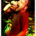 David Tran Photo 22