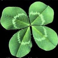 Ruth Schneider Photo 28