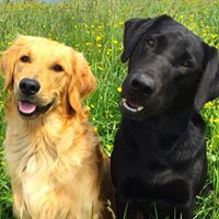 Janice Gunn Photo 17