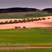 Idilio Campos Photo 3