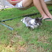Monica Peterson Photo 15