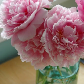 Sarah Kendall Photo 33