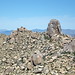 Tom Mcdowell Photo 31