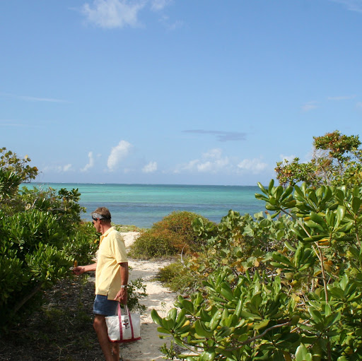 William Hopper Photo 46