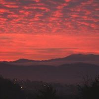 Sherrill Watson Photo 11