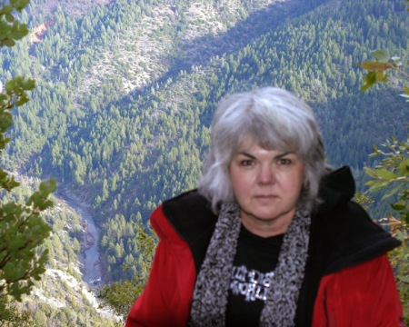 Debbie Wiley Photo 7